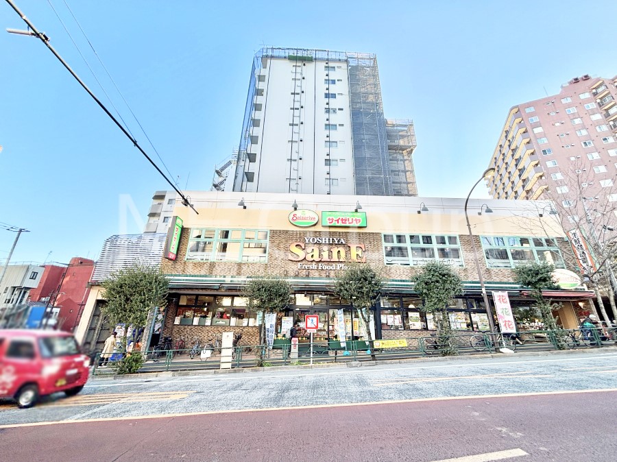 nOώʐ^ Ƃ肪Ί𐶂ސSn悢 