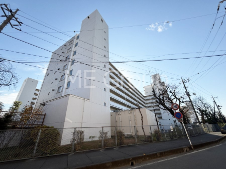 ���n�O�ώʐ^ ����z���ł��Ƒ��̏Ί���P��