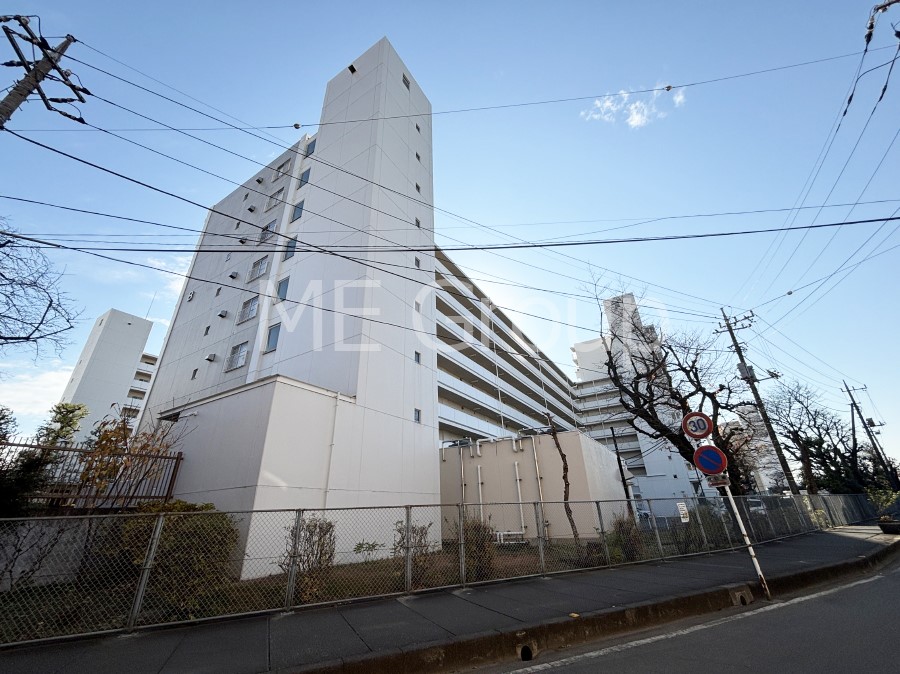 ���n�O�ώʐ^ ����z���ł��Ƒ��̏Ί���P��