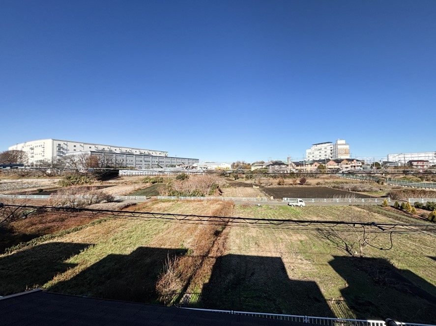 ���̑� �o���R�j�[����̒��]�ł��B�S�n�悢����������ꂻ���ł��ˁI