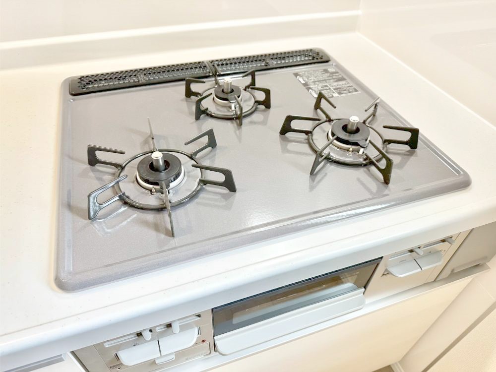 ���̑����� �O���K�X�R�����ł���������C�ɂ͂��ǂ肻���B  