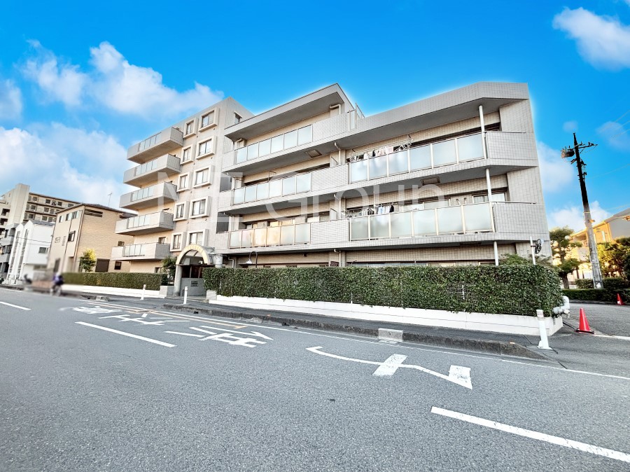 nOώʐ^ Ƃ肪Ί𐶂ސSn悢 