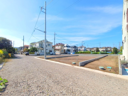 ���n�y�n�ʐ^ -