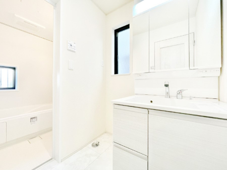 ���̑� �_�炩�Ȓ��̌����������鑋���������ʎ�