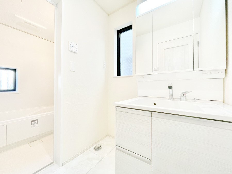 ���̑� �_�炩�Ȓ��̌����������鑋���������ʎ�