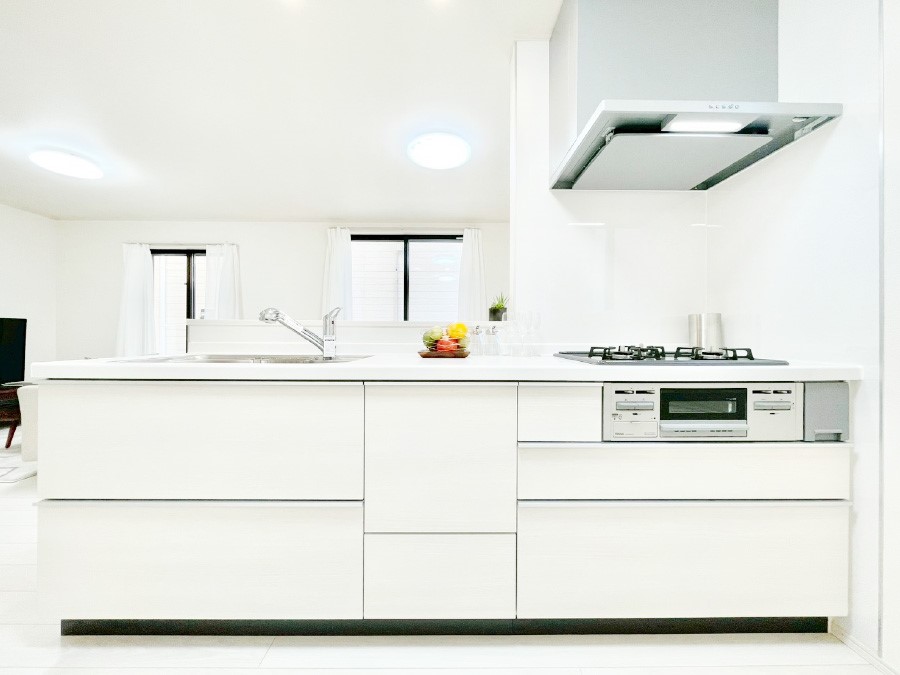 �L�b�`�� �V�X�e���L�b�`���̓V���v���ŃX�b�L�������O���̗��Ȃ��f�U�C���Ȃ̂ŉi���g�������I