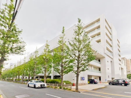 ӊ a@ 1130m R胁fBJZ^[