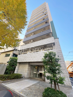 ���n�O�ώʐ^ ��������n�܂�V�����������������܂�