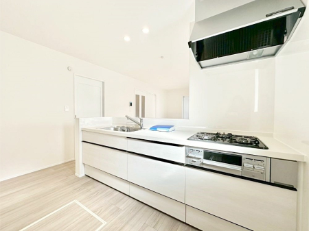 �L�b�`�� �J�E���^�[�z���Ɋy����������ׂ�B�����̂������������Ɣ��������Ȃ肻���ł��ˁB