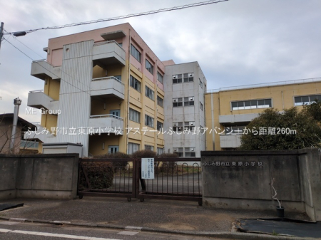 ӊ wZ 260m ӂݖswZ