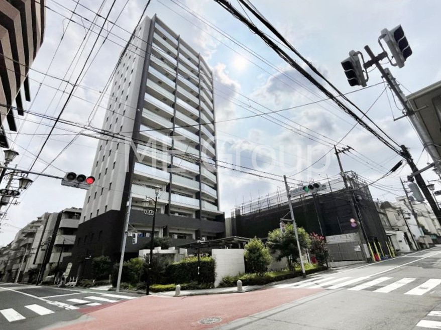 nOώʐ^ Ƃ肪Ί𐶂ސSn悢 