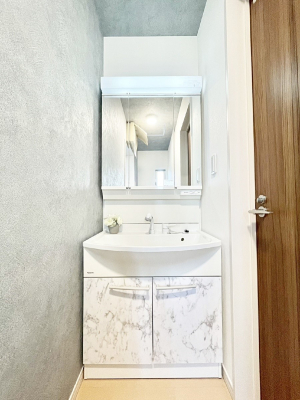 ʑEʏ 傫₷OʋŐʑ́AgȂ݃`FbN┧̂ɂ߂łB