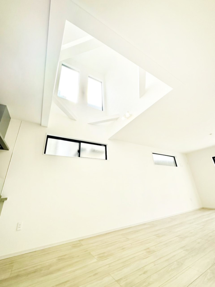 ���̑� ���邢���������������ސ��������݌v