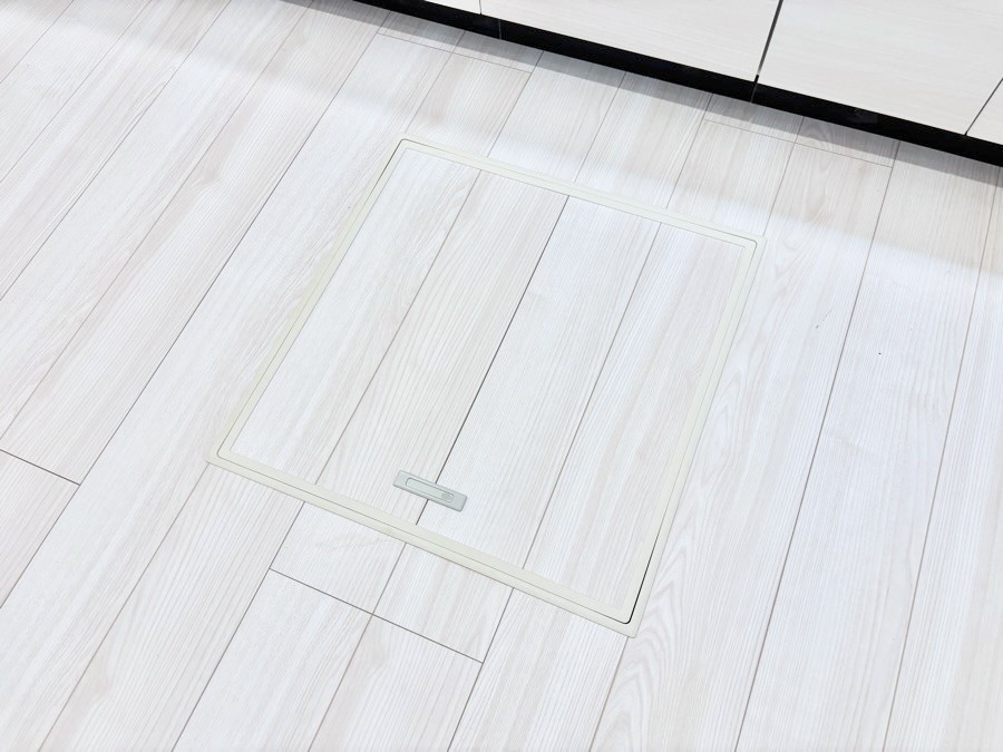 ���̑����� �������[�t���I���p�i�E���p�i�̎��[�ɂ��劈��B