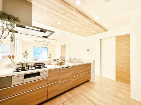 �L�b�`�� �J�E���^�[�z���Ɋy����������ׂ�B�����̂������������Ɣ��������Ȃ肻���ł��ˁB