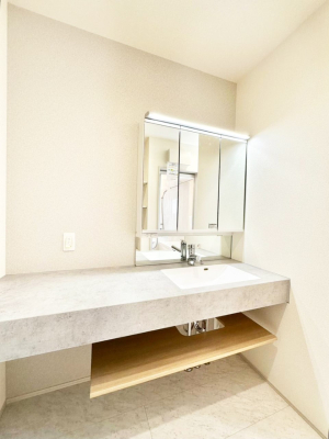 ���ʑ�E���ʏ� �X�^�C�����O�ɕ֗��ȎO�ʋ��A�~���[�L���r�l�b�g�ōׂ������X�b�L��