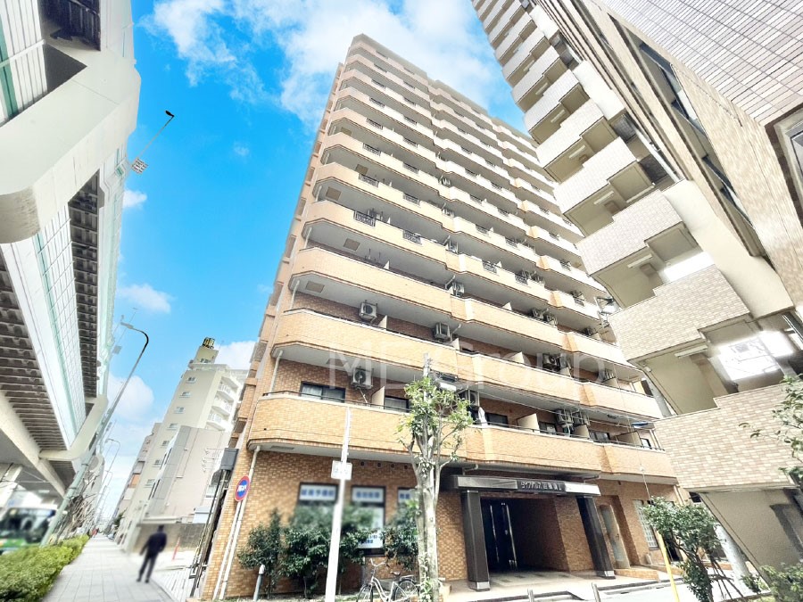 ���n�O�ώʐ^ ��Ƃ肪�Ί�𐶂ސS�n�悢���� 