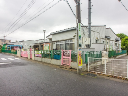 ���ӊ� �c�t���E�ۈ牀 490m �{���ۈ牀