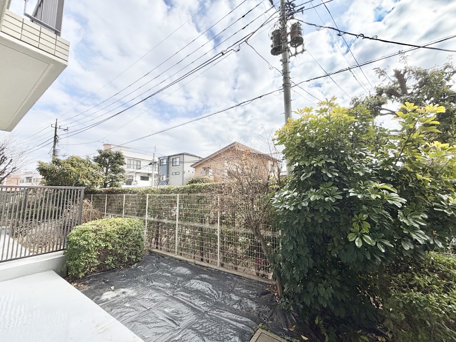 ���̑� ���邳�����Ղ�̐�p��