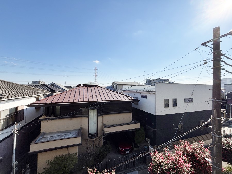 ���̑� �o���R�j�[����̒��]�ł�