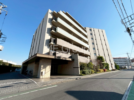 ���n�O�ώʐ^ ����z���ł��Ƒ��̏Ί���P��