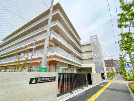 ���ӊ� ���w�Z 250m �����旧�������w�Z