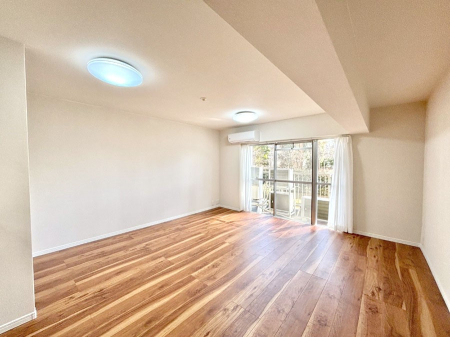 ���̑����� ���邢�z���������A�����̕��͋C�ɖ��������_�C�j���O�B   