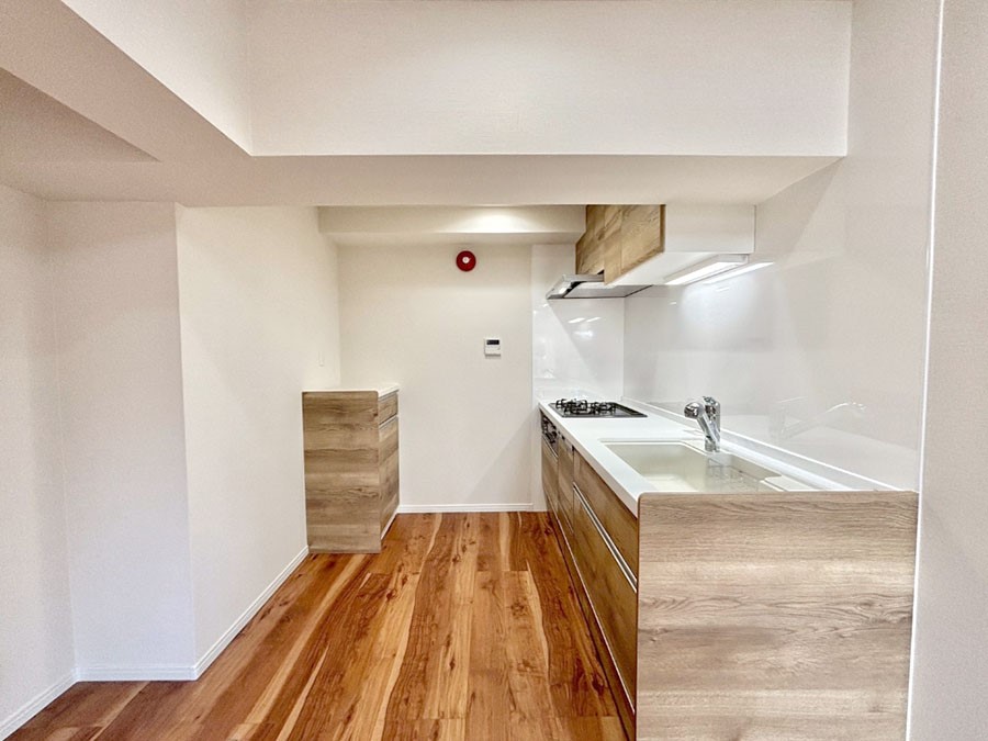 �L�b�`�� ��Ƃ肠��L�b�`���X�y�[�X�ł�������H��̌�Еt�����X���[�Y�ɁI