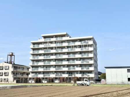 ���n�O�ώʐ^ ����z���ł��Ƒ��̏Ί���P��