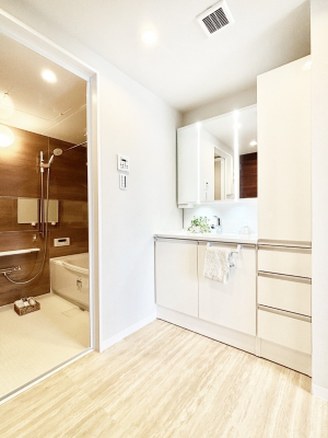 ���ʑ�E���ʏ� ���[�͂Ƌ@�\���ɗD�ꂽ������ꃉ�N���N���ʉ��ϑ�I