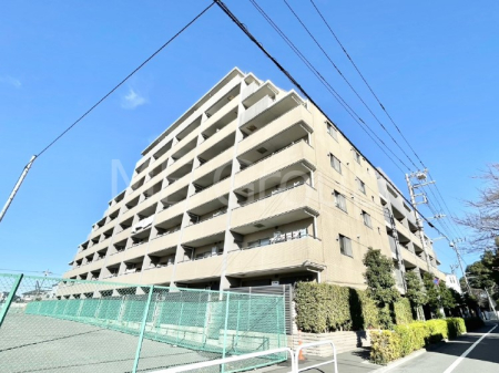 ���n�O�ώʐ^ ����z���ł��Ƒ��̏Ί���P�� 