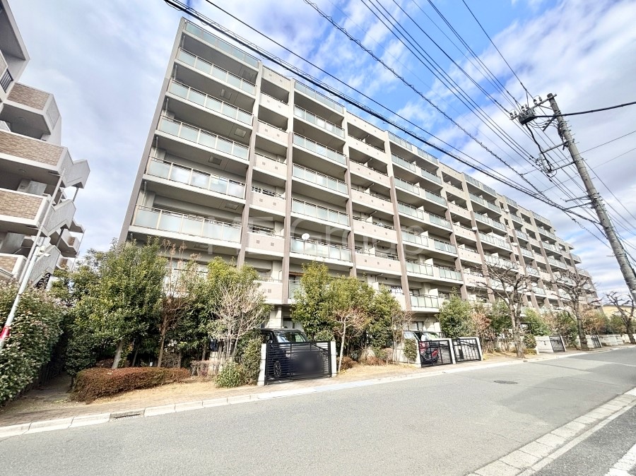 ���n�O�ώʐ^ ��Ƃ肪�Ί�𐶂ސS�n�悢���� 