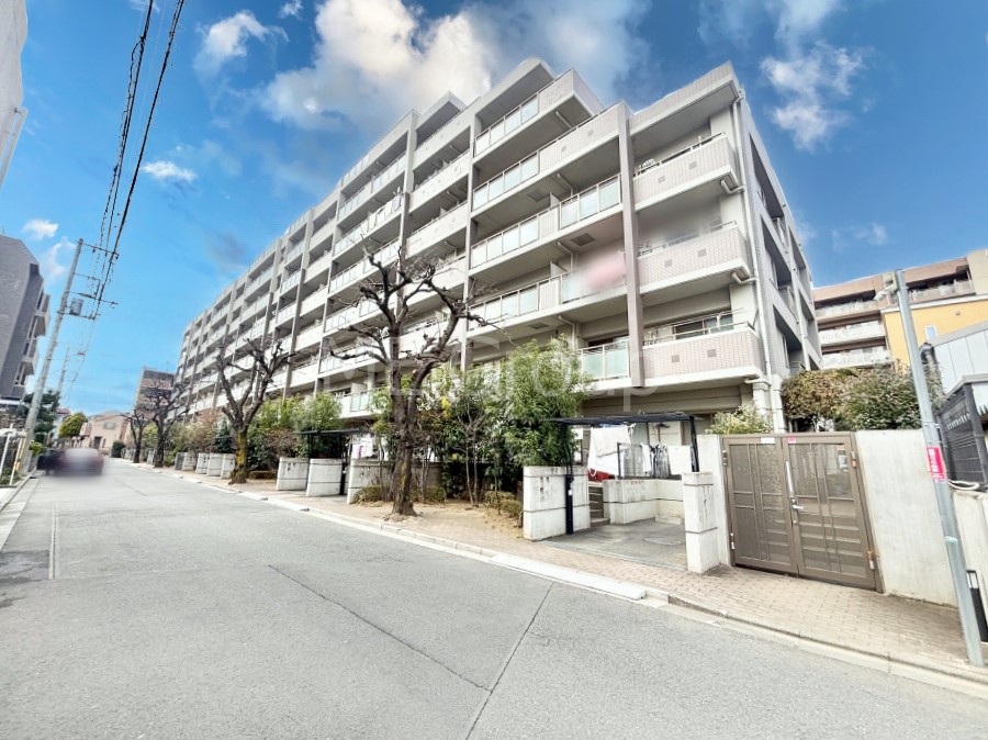 ���n�O�ώʐ^ ����z���ł��Ƒ��̏Ί���P�� 