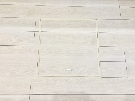 ���̑����� �������[�t���I���p�i�E���p�i�̎��[�ɂ��劈��B