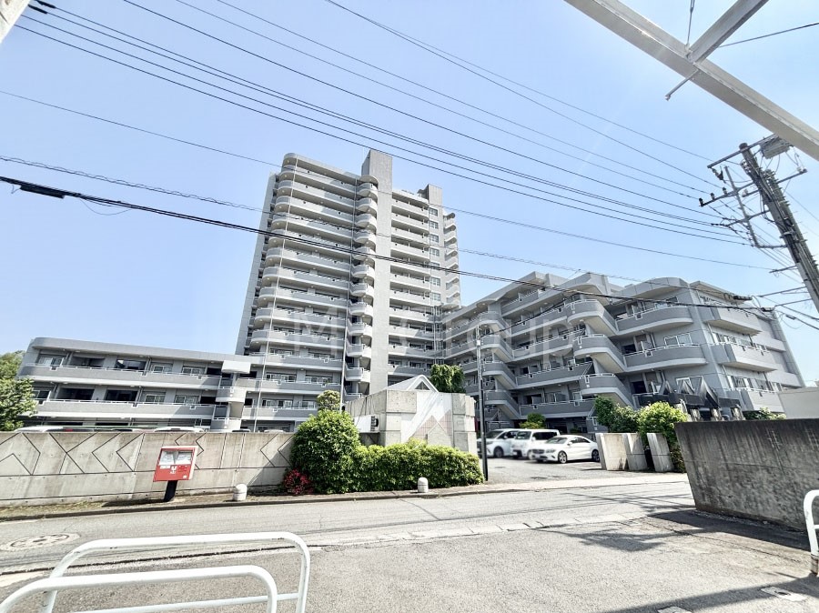 ���n�O�ώʐ^ ����z���ł��Ƒ��̏Ί���P�� 