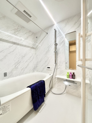 ���� ����̔�������Ă���閾�邢�������̂���o�X���[��