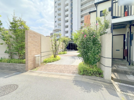 �G���g�����X -