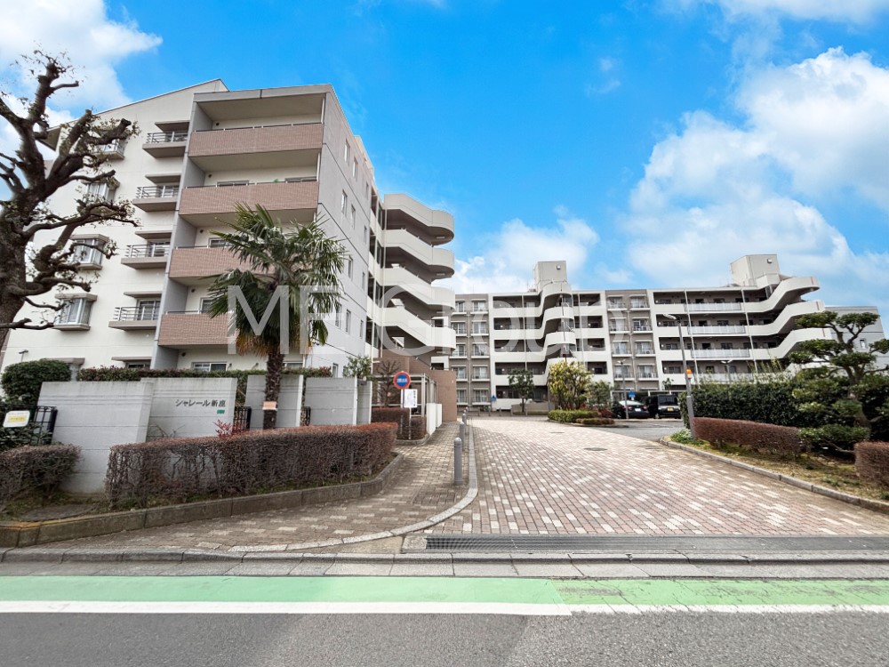 ���n�O�ώʐ^ ��Ƃ肪�Ί�𐶂ސS�n�悢����