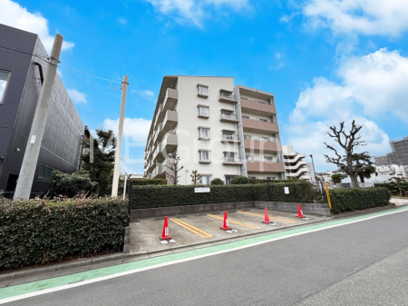 ���n�O�ώʐ^ ����z���ł��Ƒ��̏Ί���P��