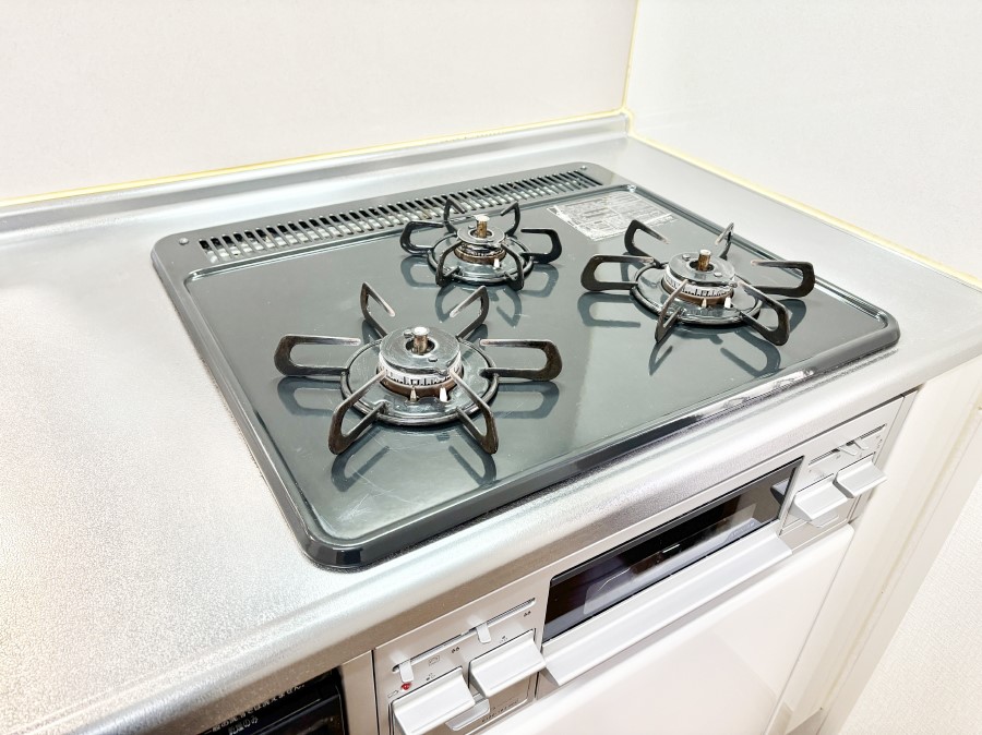 ���̑����� �O���K�X�R�����ł���������C�ɂ͂��ǂ肻��  