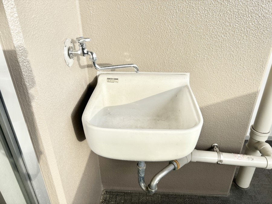 ���̑����� �o���R�j�[����������΂��|�����y�X�ł��B    