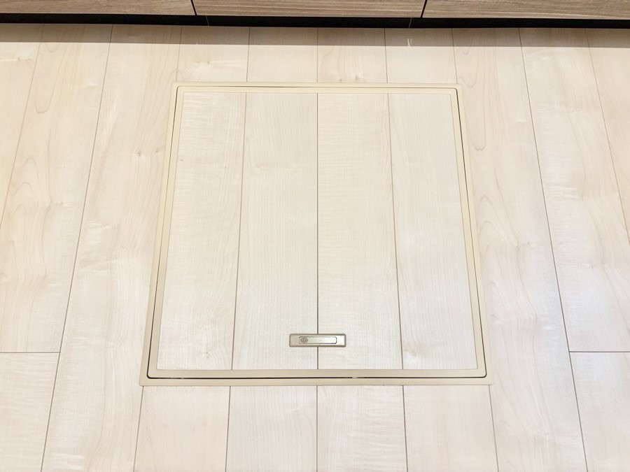 ���̑����� �������[�t���I���p�i�E���p�i�̎��[�ɂ��劈��B