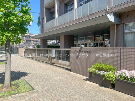 ���ӊ� ���w�Z 380m �r��旧�z�K�䒆�w�Z