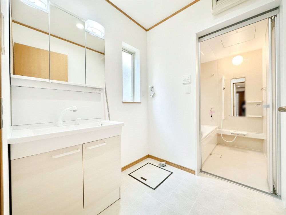 ���̑� ����������z���C�g�J���[����Ƃ������ʎ�