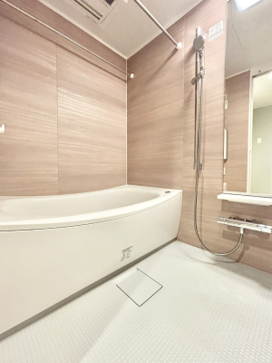 ���� ����̔�������Ă����o�X���[��    