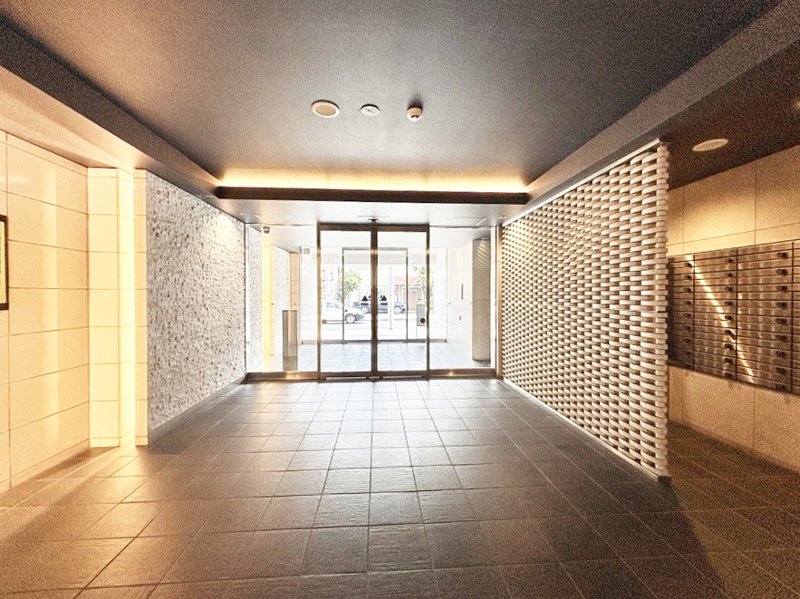 ���̑� ���ꂢ�ɑ|���E��������Ă��郍�r�[