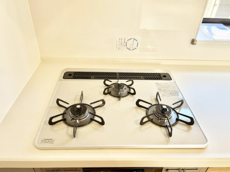 ���̑����� �O���K�X�R�����ł���������C�ɂ͂��ǂ肻��  