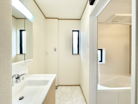 ���̑� �_�炩�Ȓ��̌����������鑋���������ʎ�