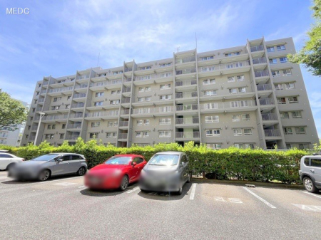 ���n�O�ώʐ^ �O��