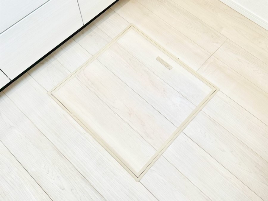 ���̑����� �������[�t���I���p�i�E���p�i�̎��[�ɂ��劈��B